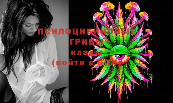 скорость Алзамай