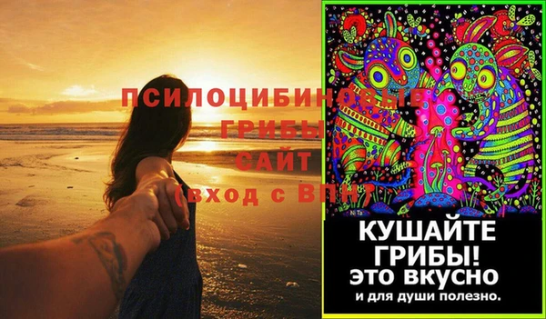 скорость Алзамай