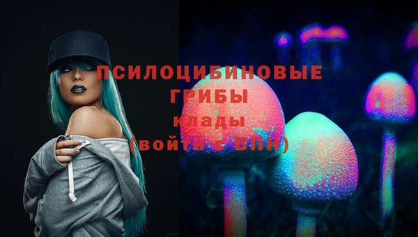 гидропоника Абаза