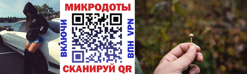 Псилоцибиновые грибы мицелий  Нюрба 