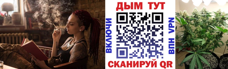 где можно купить наркотик  Нюрба  Каннабис гибрид 